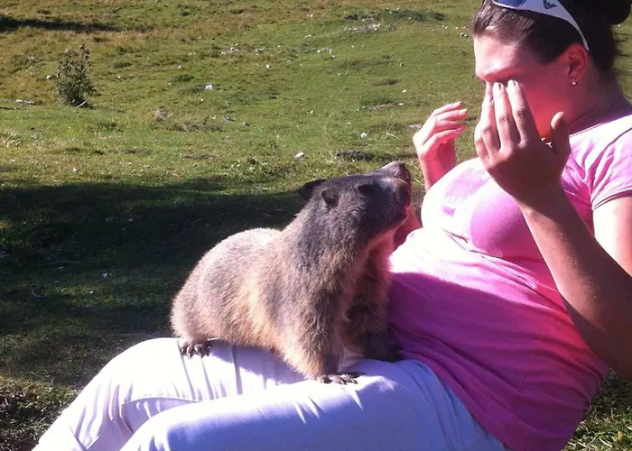 Apartman Landl Haus im Ennstal